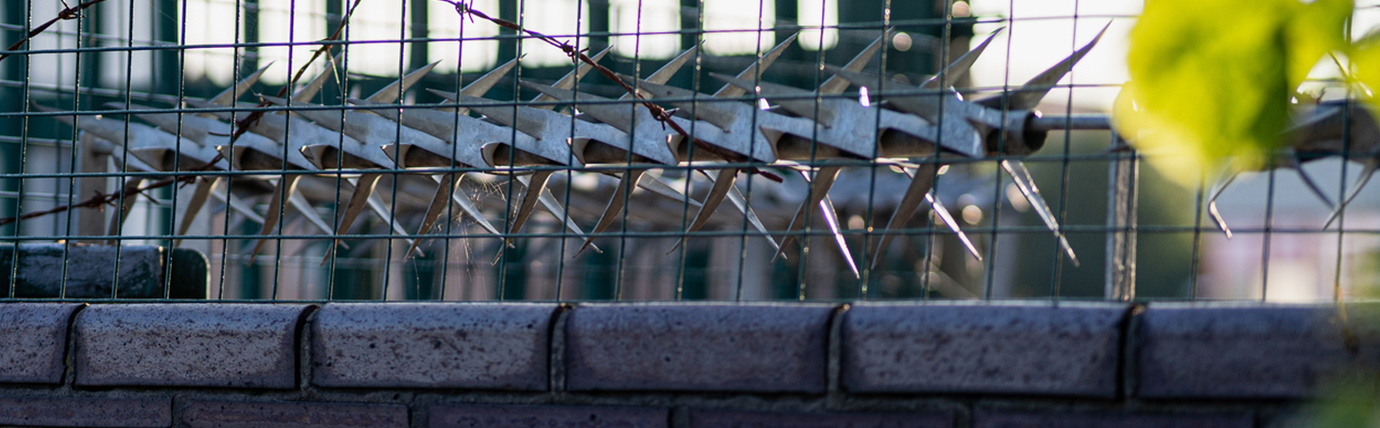 A Christmas Day in the Life of a Custodial Officer